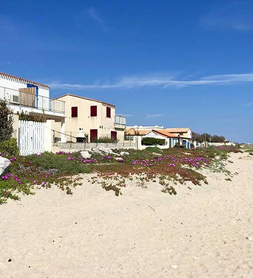 Restaurant Le Méditerranée - Restaurant plage Frontignan - restaurant sympa FRONTIGNAN