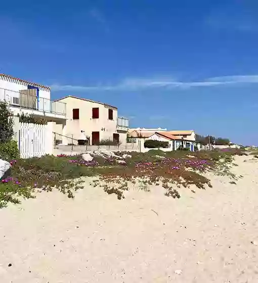 Restaurant Le Méditerranée - restaurant FRONTIGNAN - manger a FRONTIGNAN